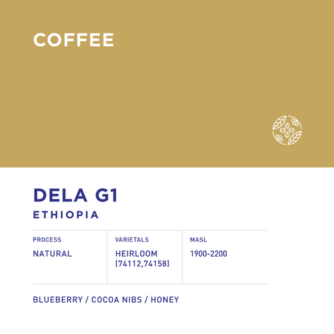 Ethiopia Dela G1