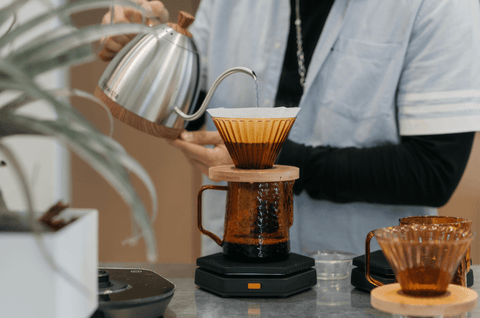 A Barista's Guide : Basic v60 - Forest Cloud