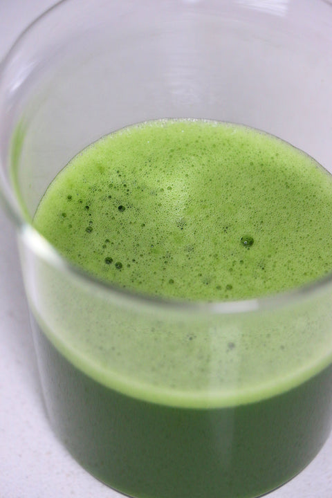 How to Make Usucha: Traditional Japanese Matcha Tea