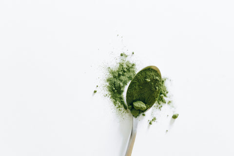 How to Choose Matcha Powder in Malaysia