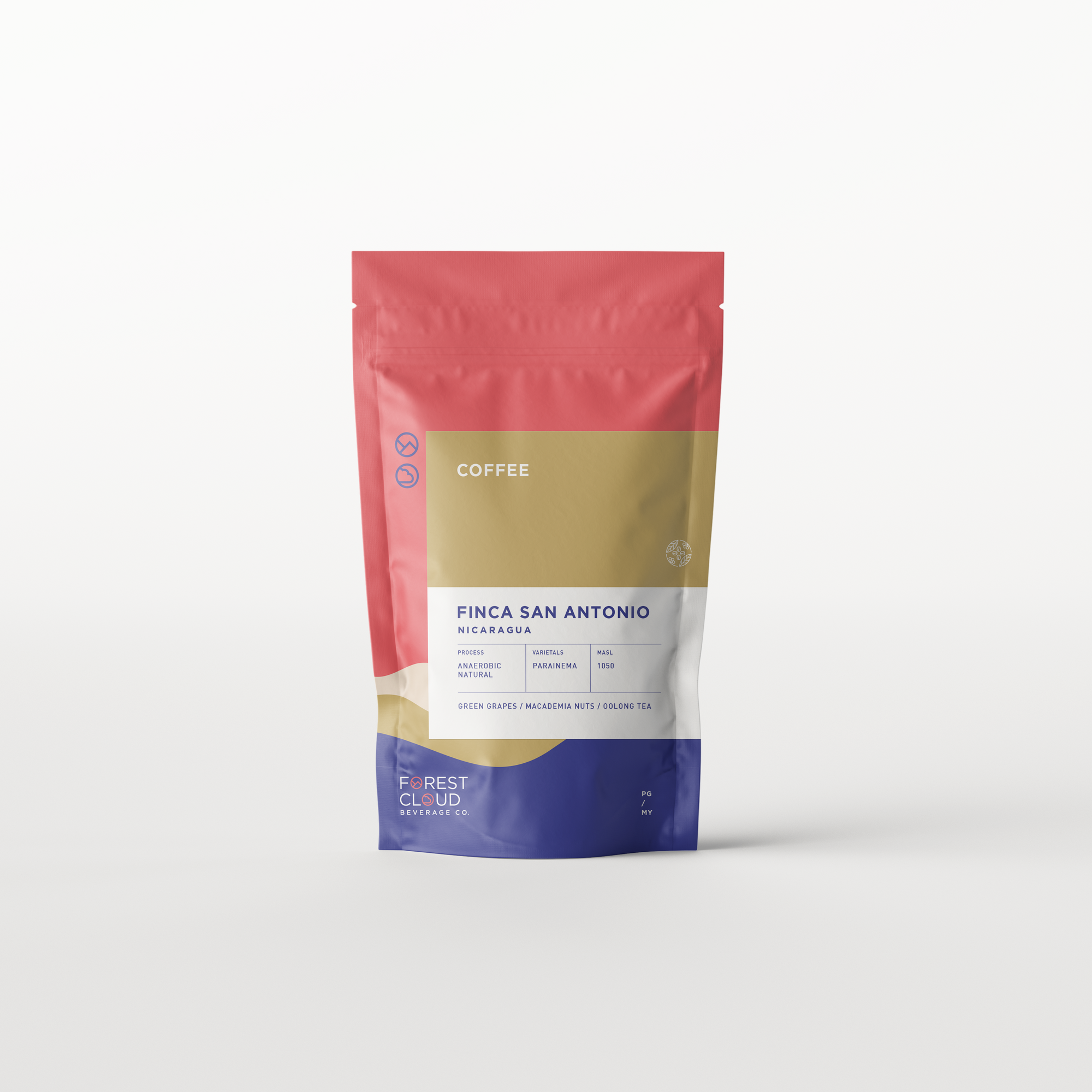 Nicaragua Finca San Antonio