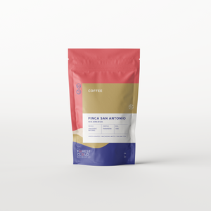Nicaragua Finca San Antonio