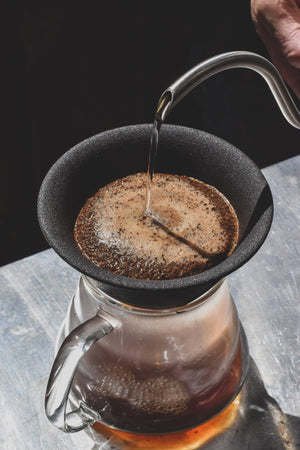 LOCA Ceramic Coffee Filter - Forest Cloud