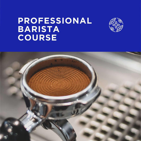 3-Day Professional Barista Course - Forest Cloud