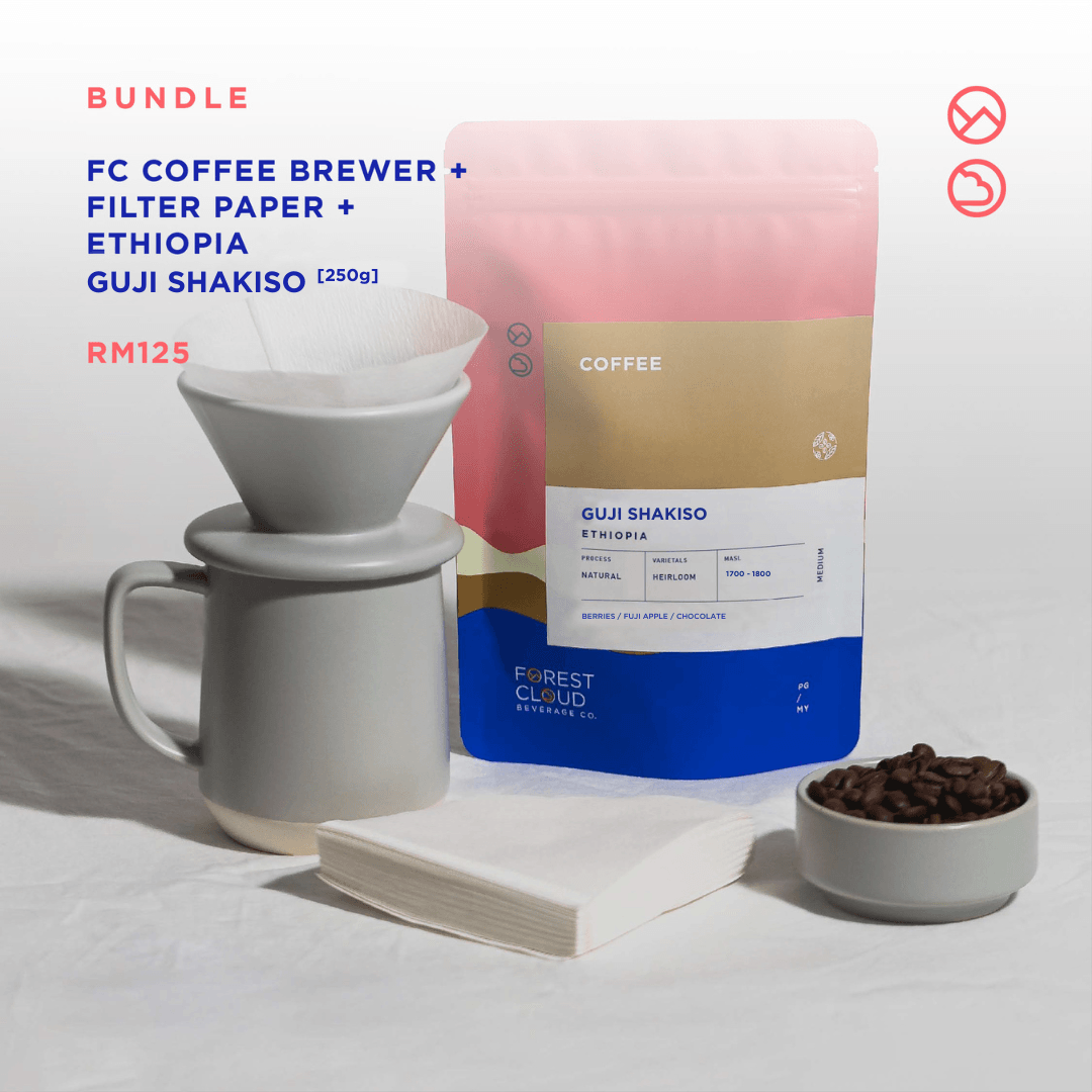 Bundle: Ceramic Dripper Set + Filter Paper + Coffee - Forest Cloud