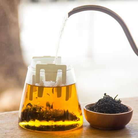 Chinese Tea Drip Bags - Forest Cloud