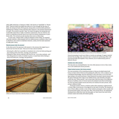 Dear Coffee Buyer - Forest Cloud